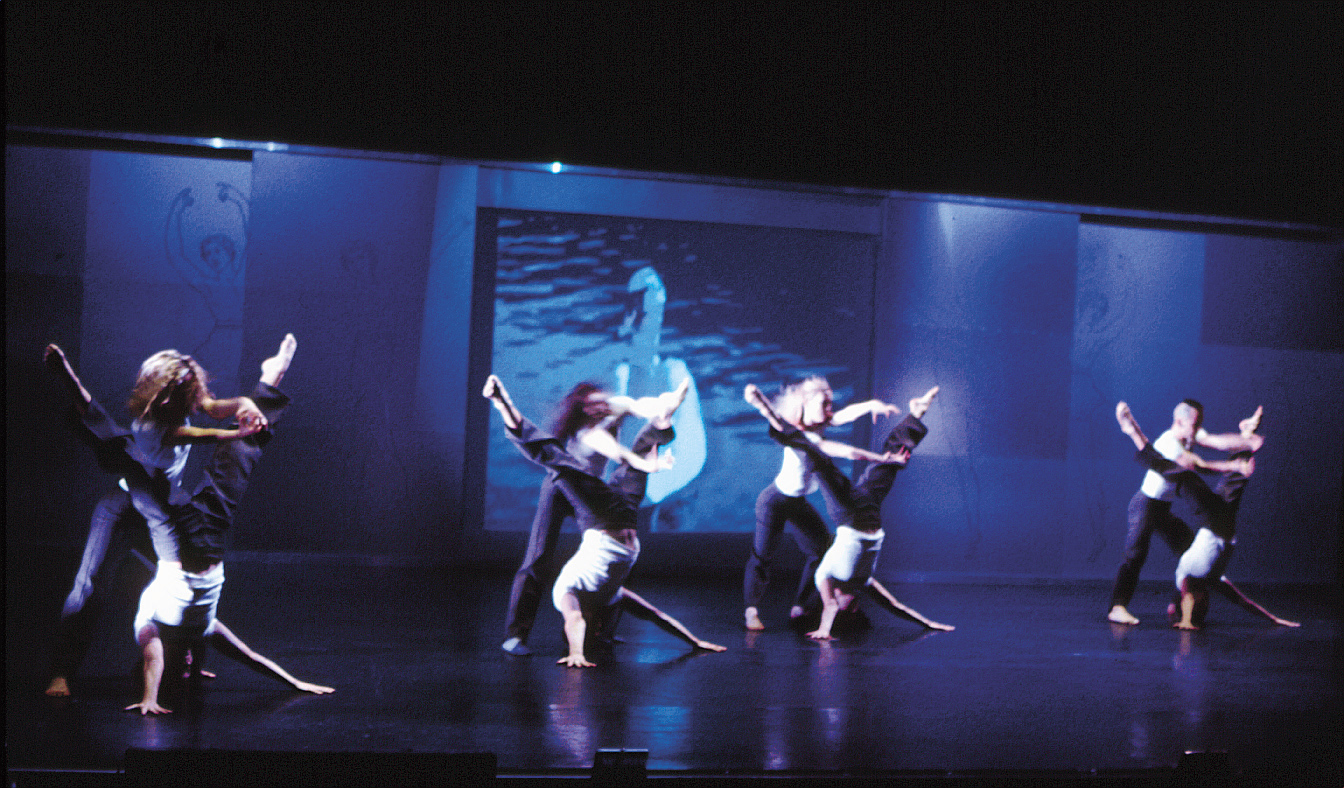 Birdbrain by Garry Stewart